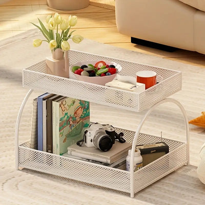 2-Tier Multi-Purpose Metal Storage & Display Rack