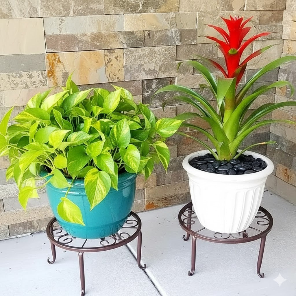2 Tier Style Metal Plant Stand